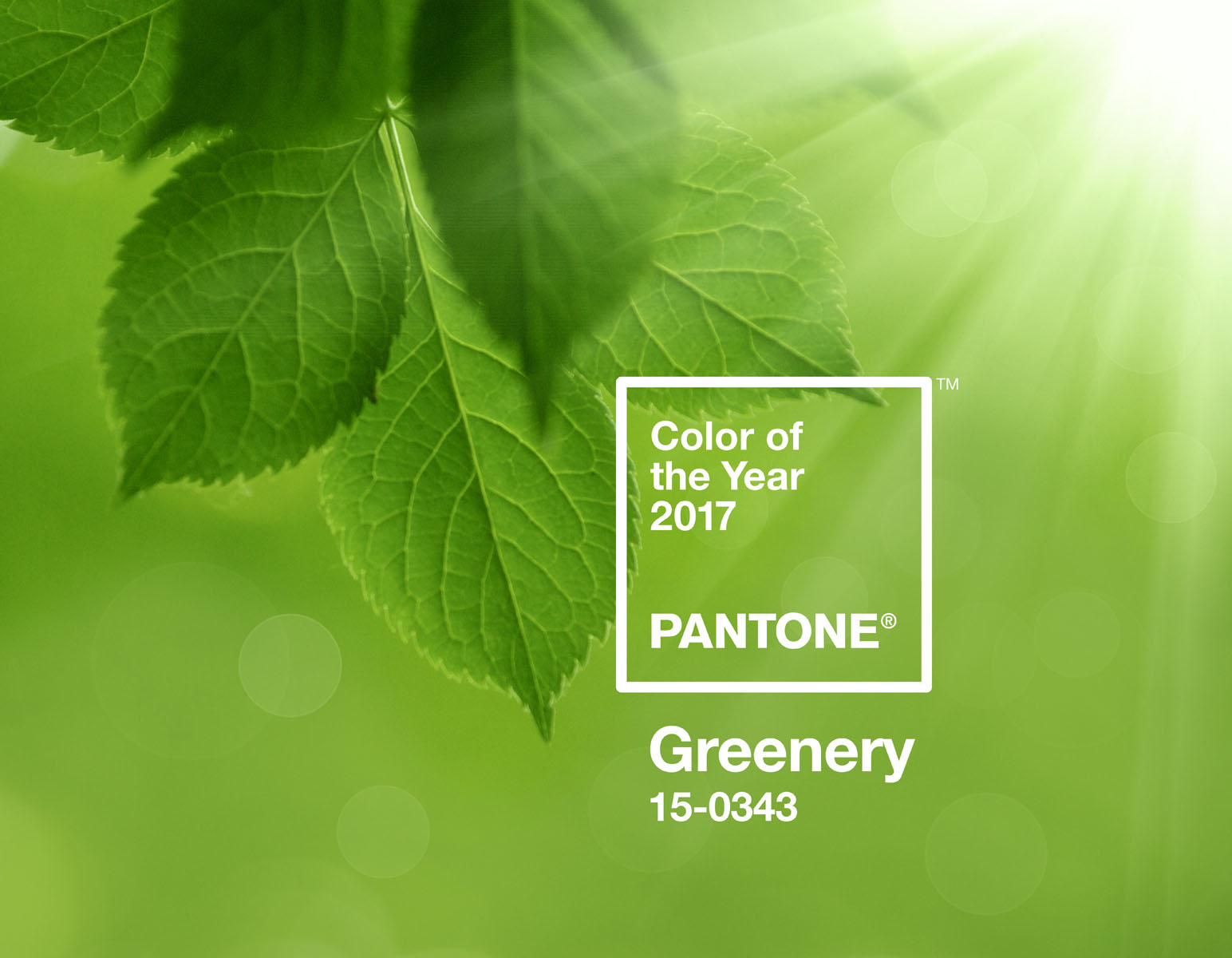 Pantone az ev szine lombzold